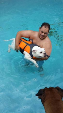 perro-nadador