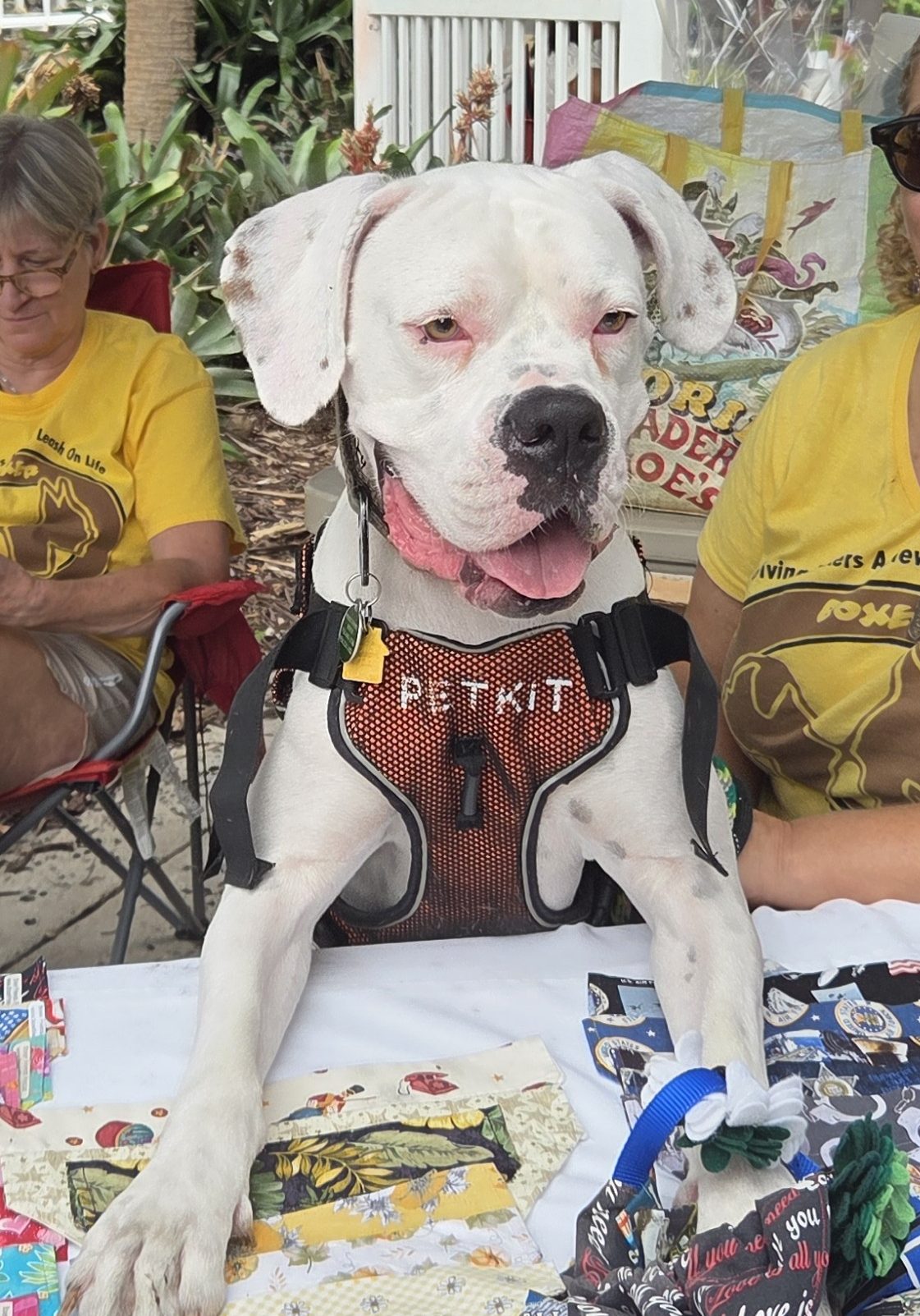 20251102_123655 (002)