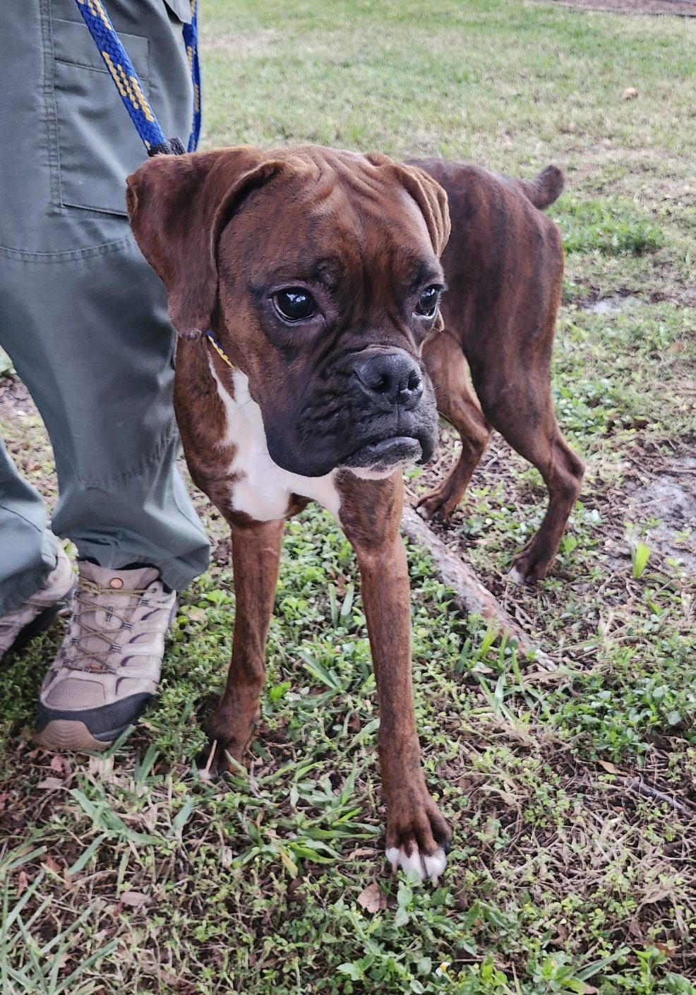 20260119_175609_resized