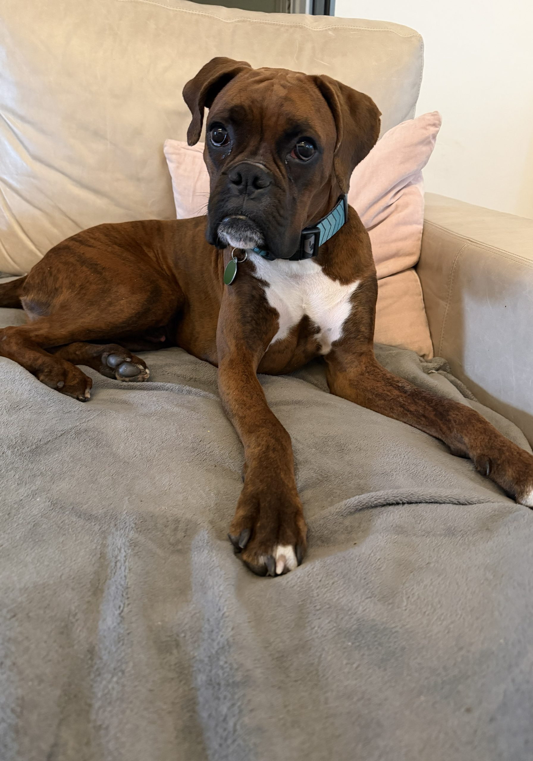 IMG_6285_353dbee5-6bb8-4c21-be08-093a176e308f